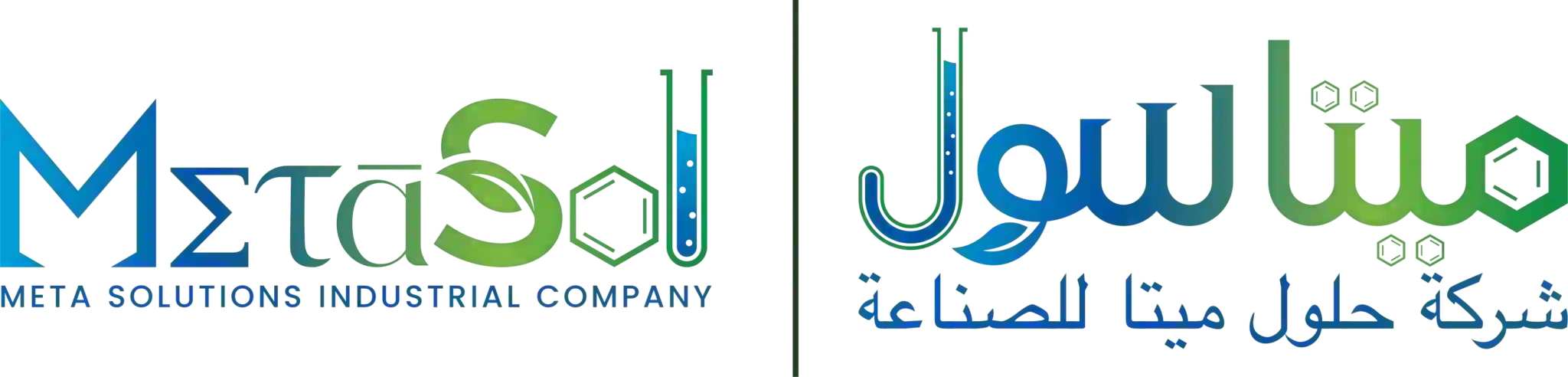 MetaSol Logo